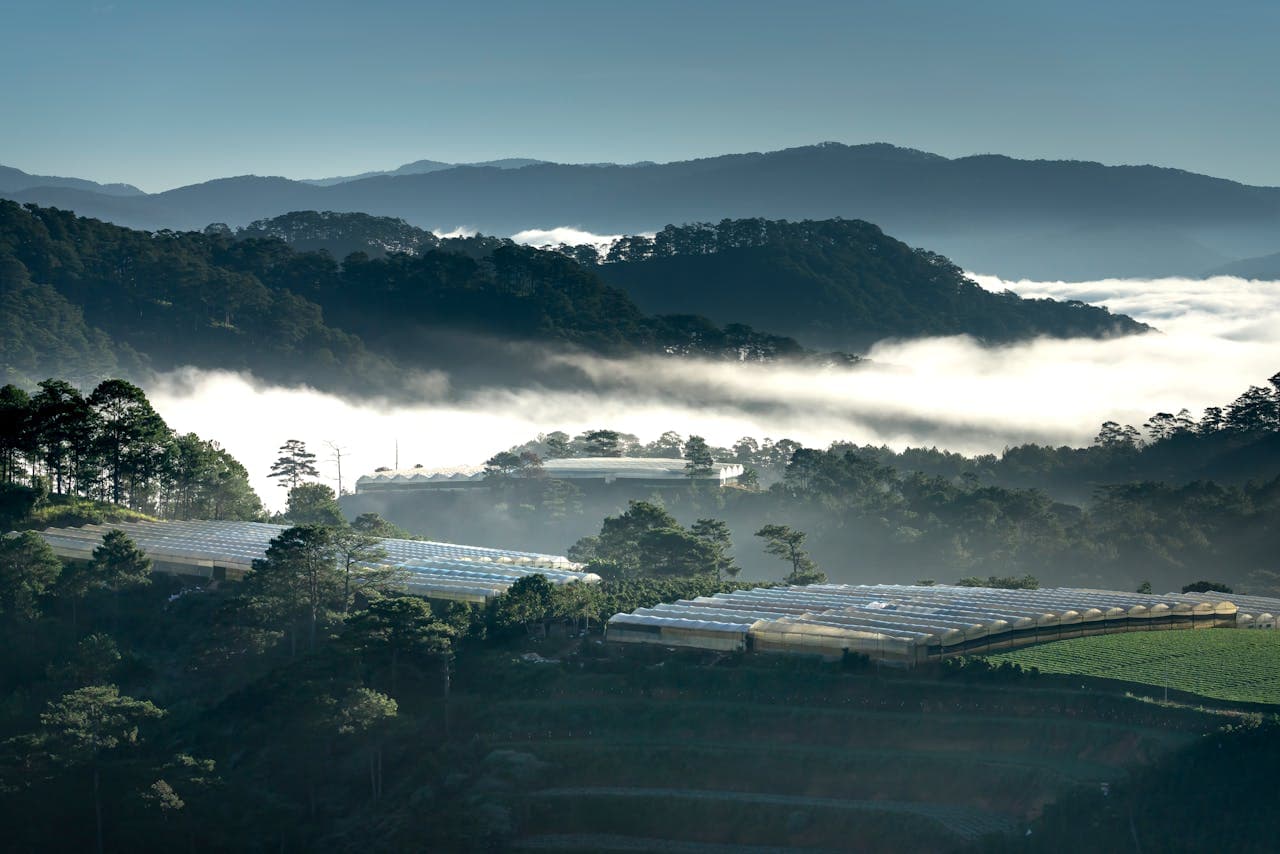 Future of sustainable farming